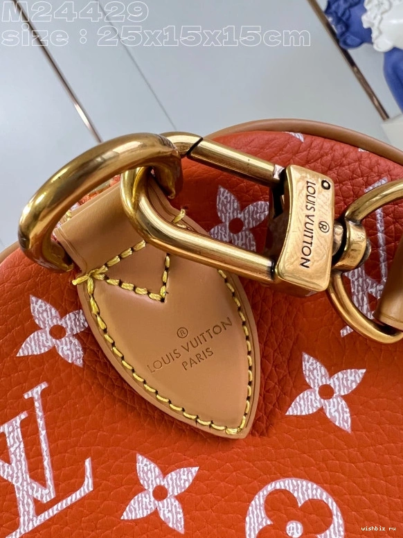 WIS Louis SPEEDY 25 Vuitton 1031